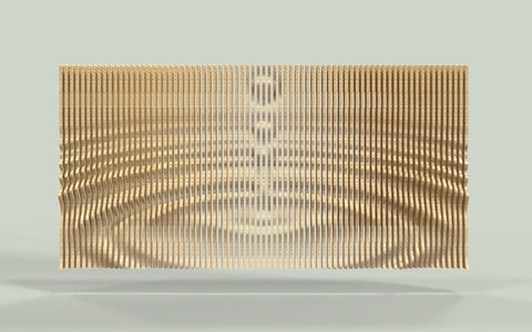 Parametric Art Wooden Wall Decor