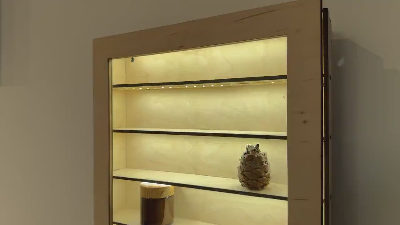 LED-Lit Wooden Display Case